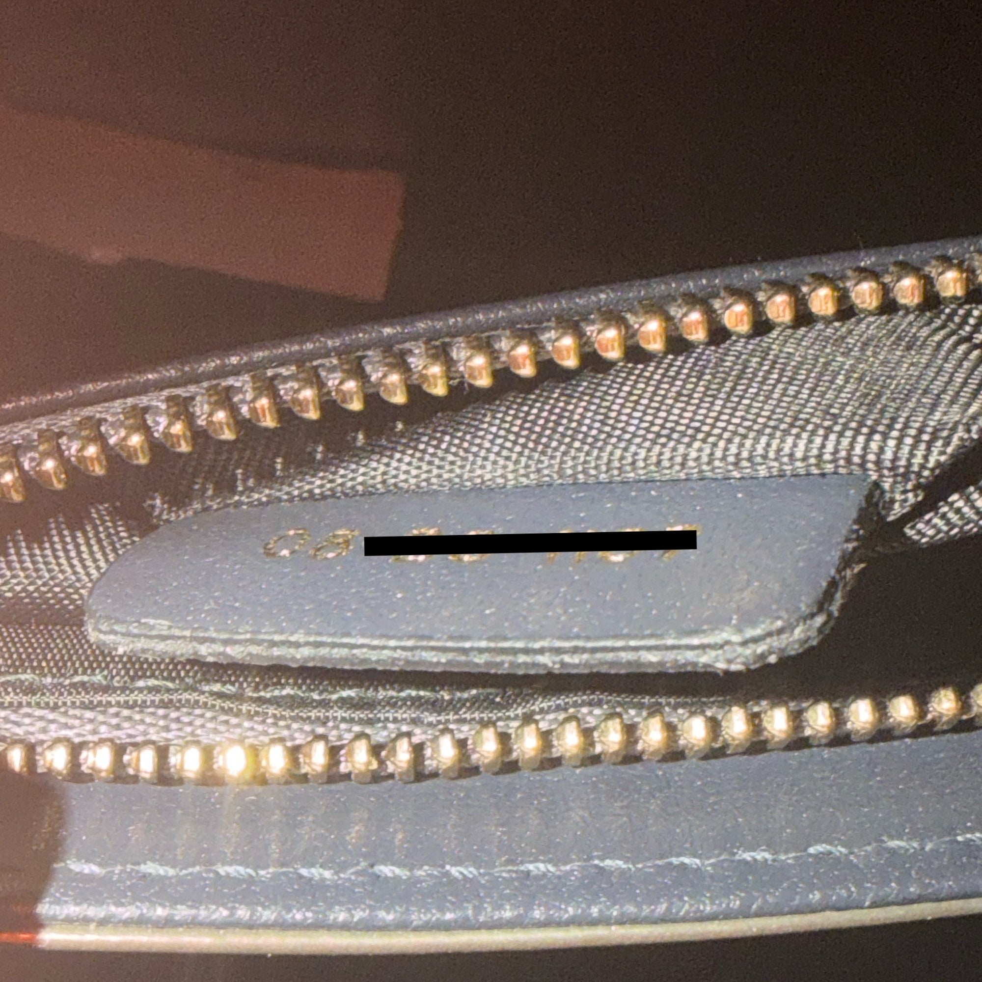 DIOR - Diorama Studded Wallet on chain shoulder bag - Hand Bag 