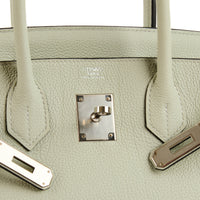 HERMES - Birkin 30 Togo Bag Gris Neve (2023)
